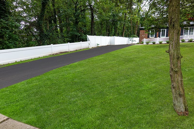 Lawn Replacement Portfolio Phixer