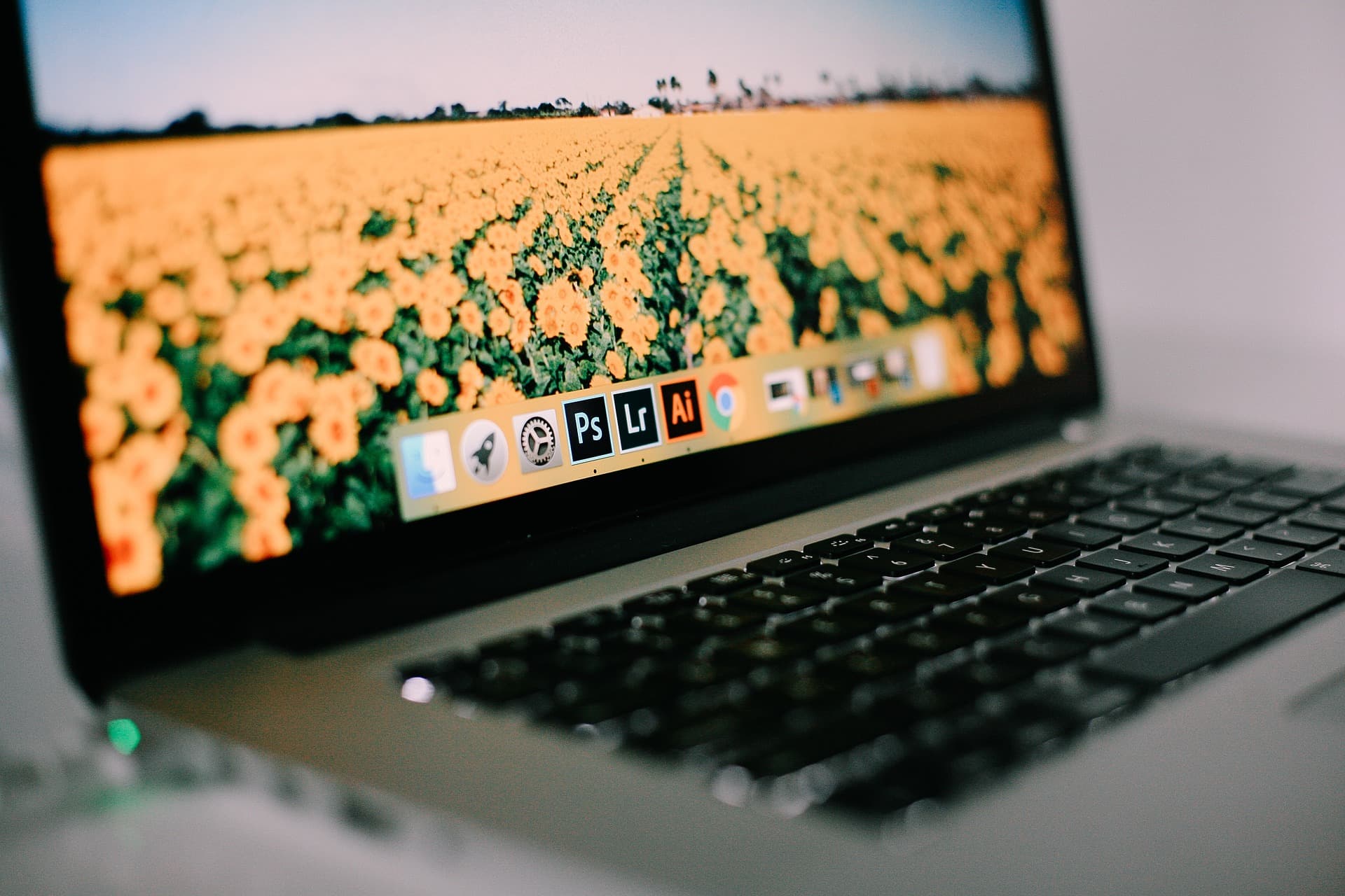How to edit like a pro using Lightroom? 5 Proven Steps to Follow